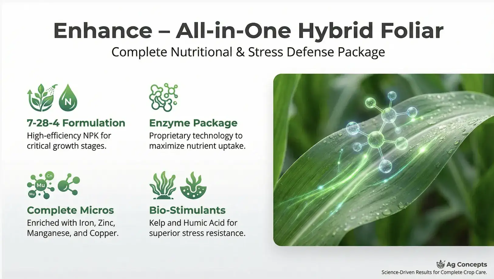 Enhance product overview